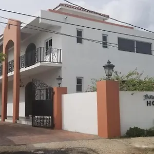 Spanish Dream Kingston